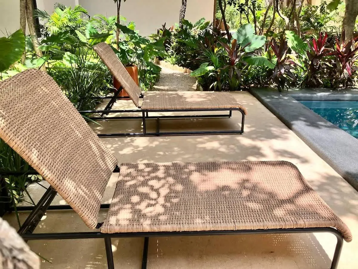 公寓 Near Beach New Ximbal Tulum 4 Guest Pool Fast Wifi