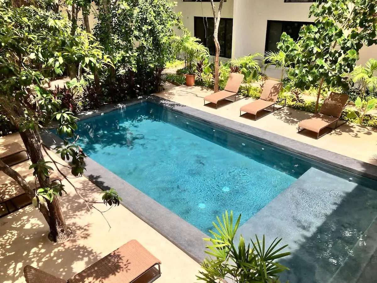 Near Beach New Ximbal Tulum 4 Guest Pool Fast Wifi 公寓