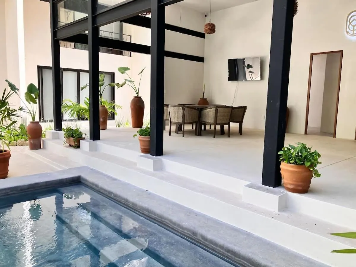 Near Beach New Ximbal Tulum 4 Guest Pool Fast Wifi 公寓