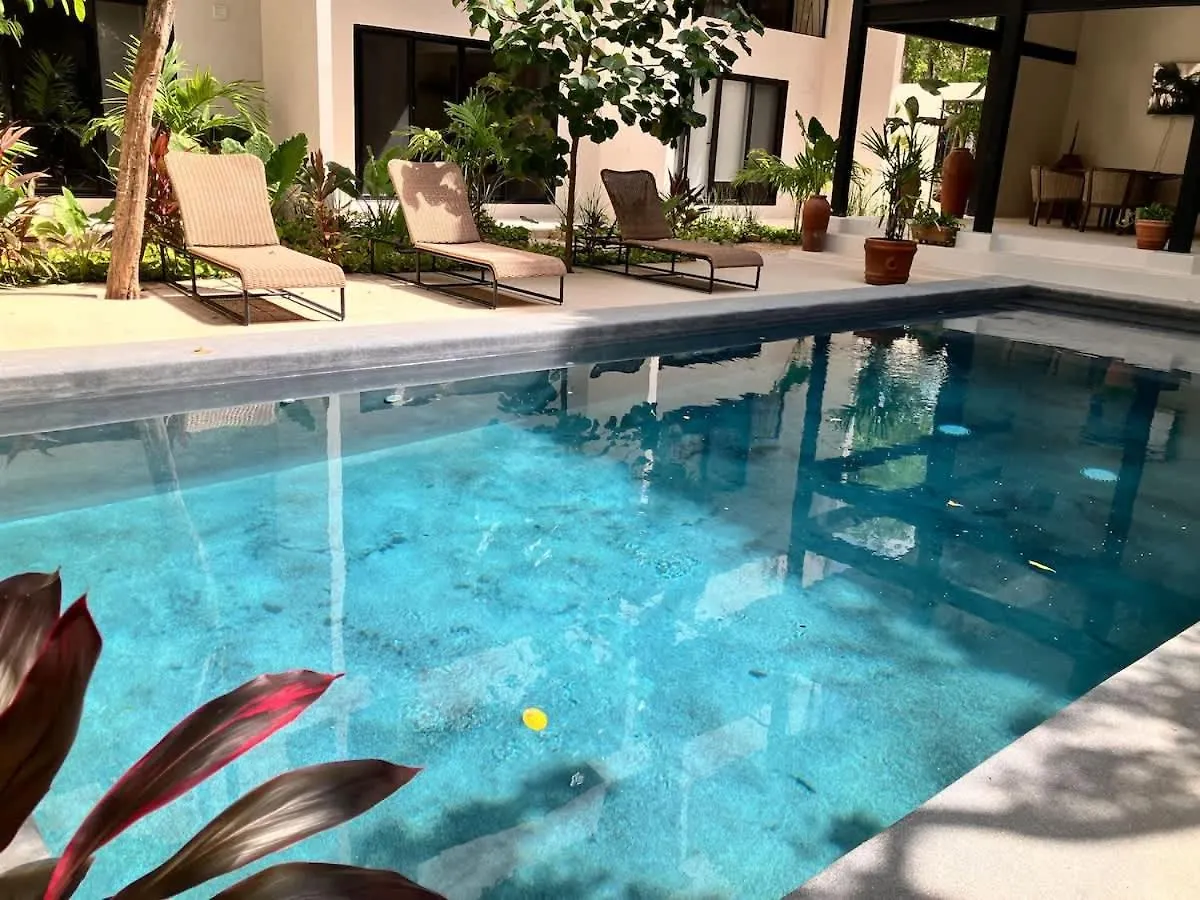 Near Beach New Ximbal Tulum 4 Guest Pool Fast Wifi 公寓