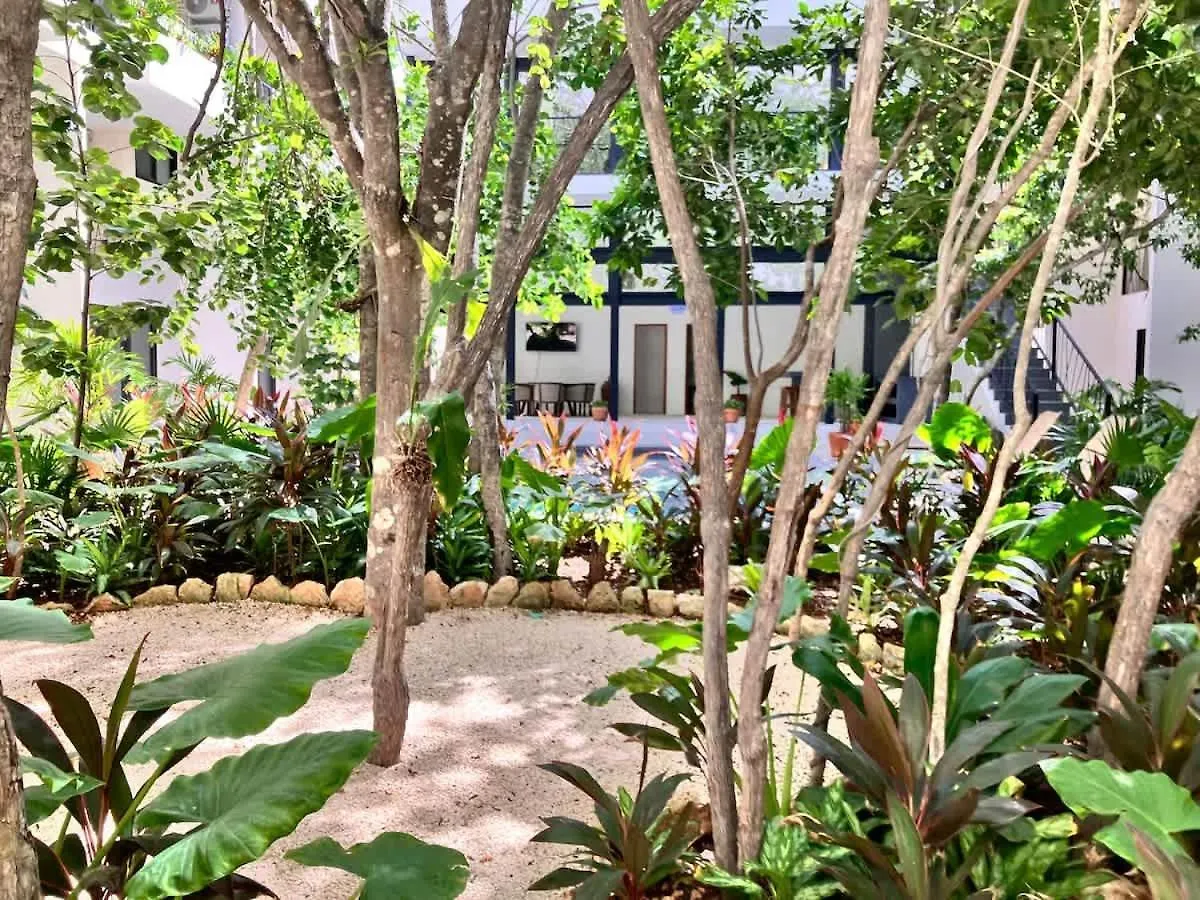 Near Beach New Ximbal Tulum 4 Guest Pool Fast Wifi 公寓