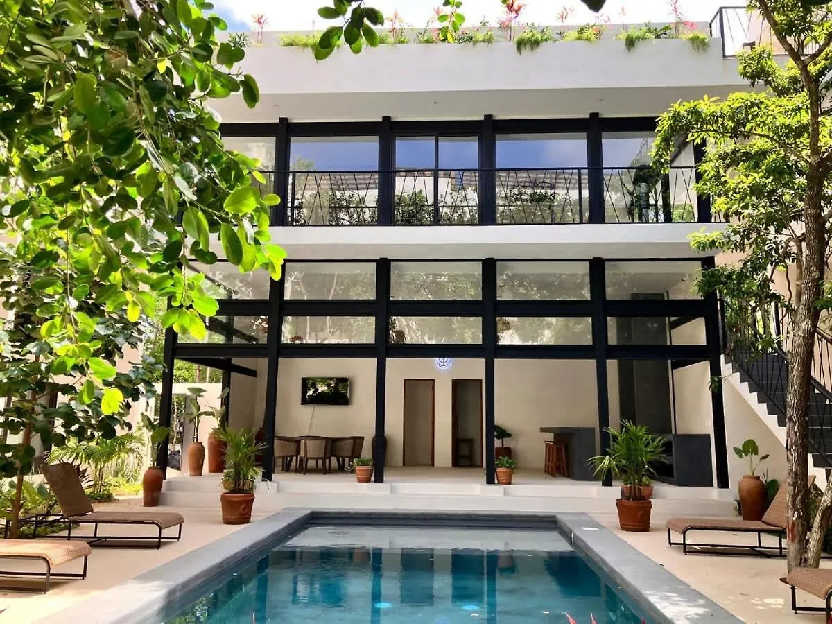 公寓 Near Beach New Ximbal Tulum 4 Guest Pool Fast Wifi